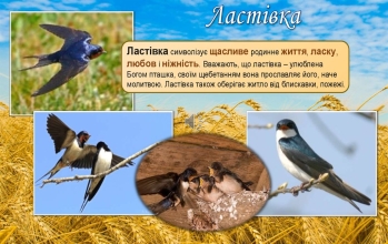 БІБЛІО Альтанка: Народні символи України: тварини i птахи